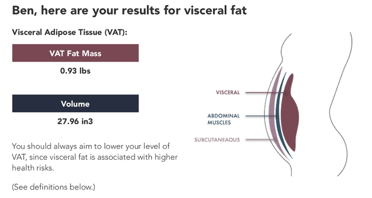 What to Expect from Your Fitnescity DEXA Scan | DEXA Scan Near Me. VO2 ...